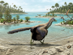 Archaeopteryx: visse nella Germania del Tardo Giurassico, circa 150 milioni di anni fa
